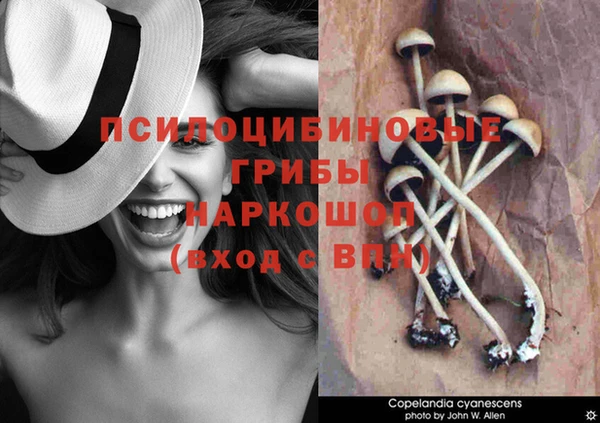 МДПВ Беломорск