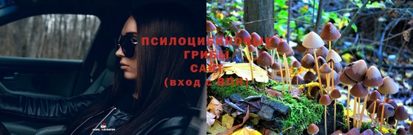 МДПВ Беломорск